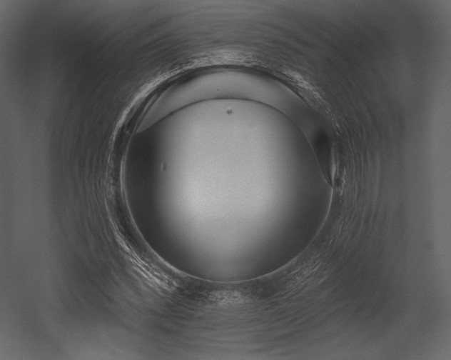 X0000053000392200507081239