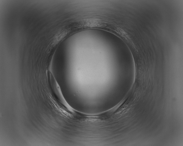X0000053000393200507081239