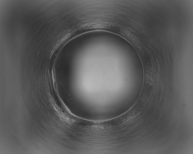 X0000053000394200507081239