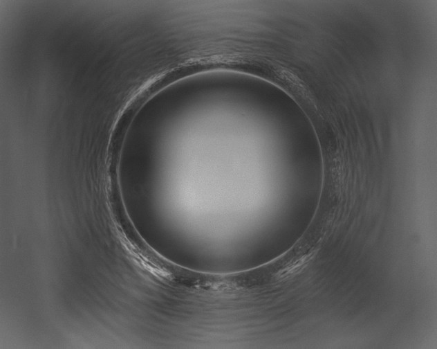 X0000053000395200507081239