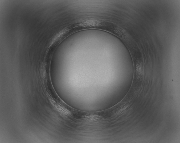 X0000053000396200507081239