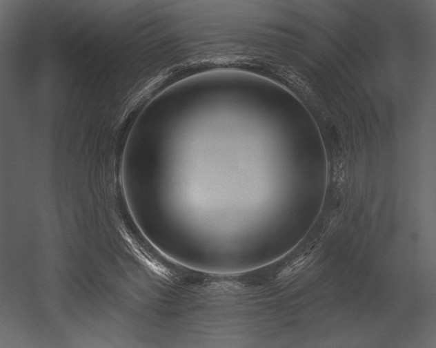 X0000053000397200507081239