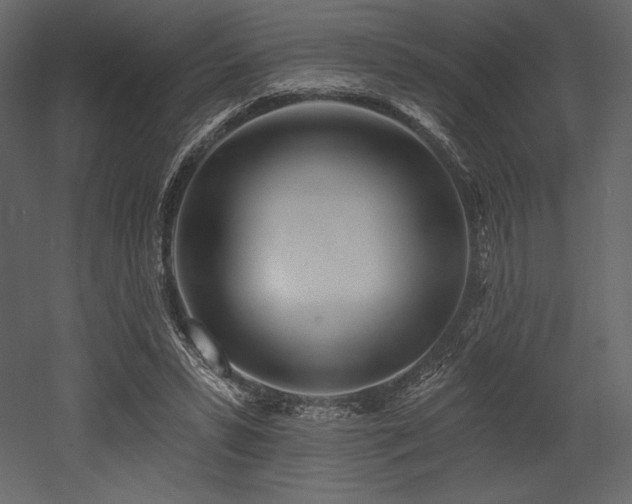 X0000053000399200507081239