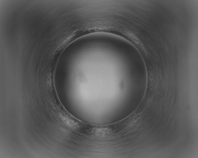 X0000053000401200507081239