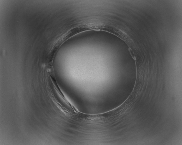 X0000053000405200507081238