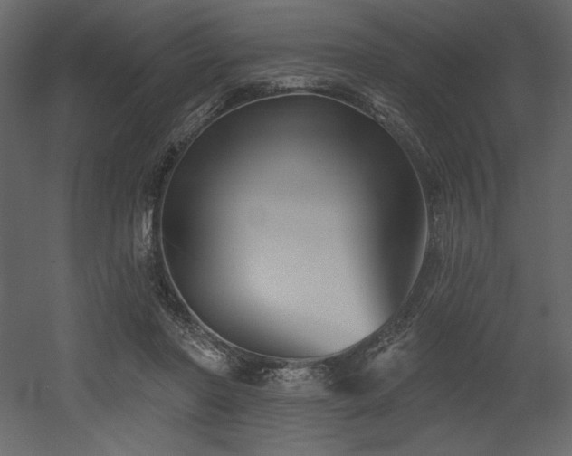 X0000053000406200507081238