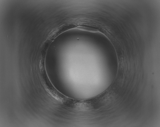 X0000053000408200507081238