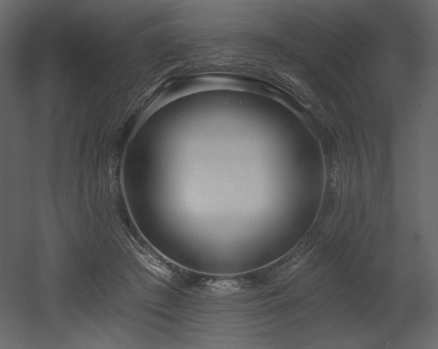 X0000053000409200507081238