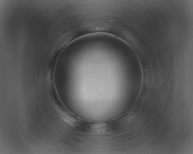 X0000053000410200507081238