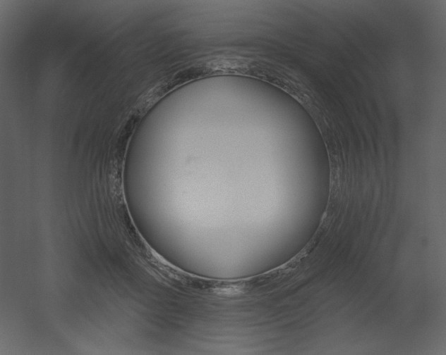 X0000053000411200507081238