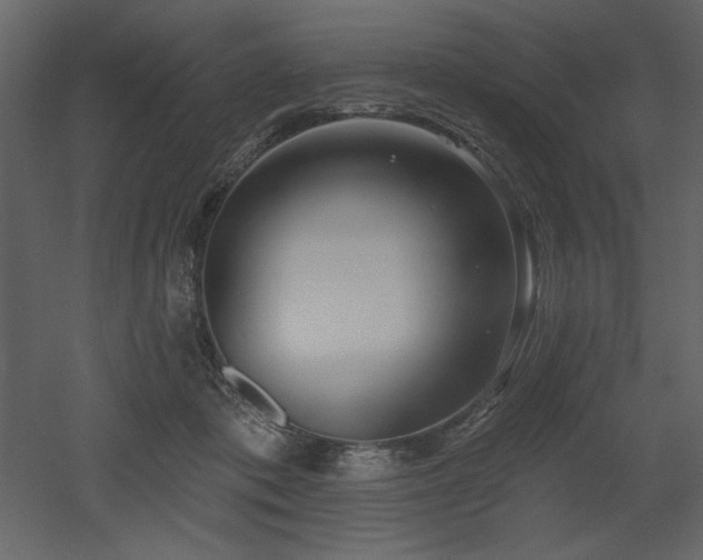 X0000053000413200507081238