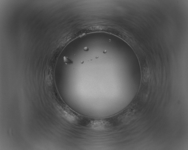 X0000053000414200507081238