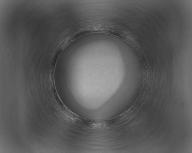 X0000053000415200507081238