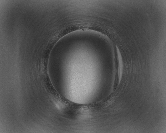 X0000053000416200507081238