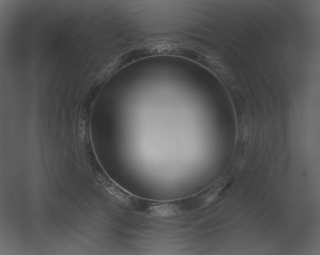X0000053000417200507081238