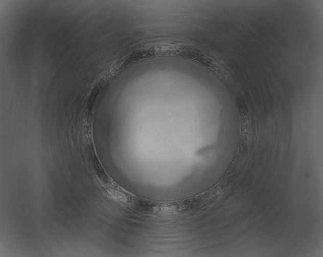 X0000053000419200507081238