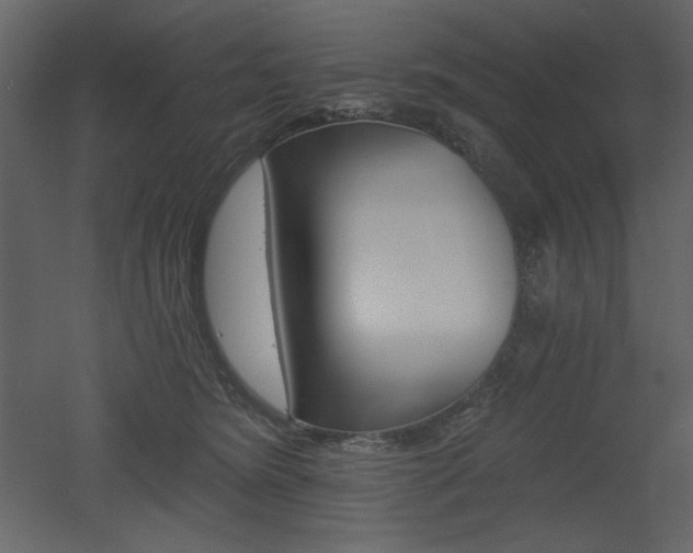 X0000053000420200507081238
