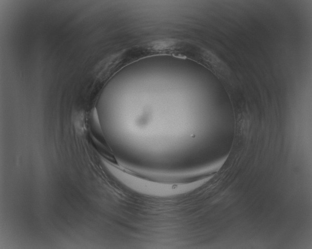 X0000053000421200507081238