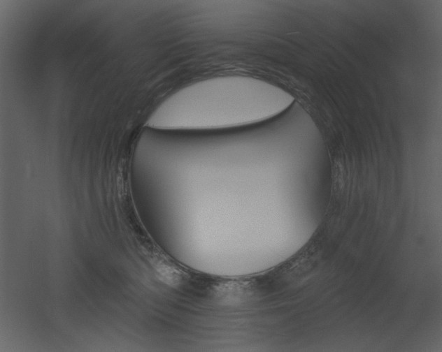 X0000053000422200507081238