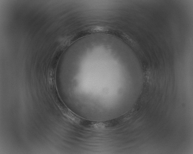 X0000053000423200507081238