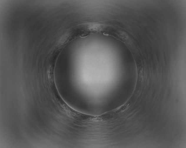 X0000053000424200507081238