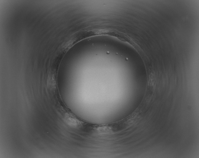 X0000053000426200507081238