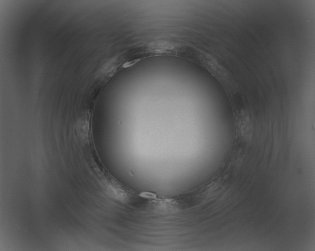 X0000053000427200507081238