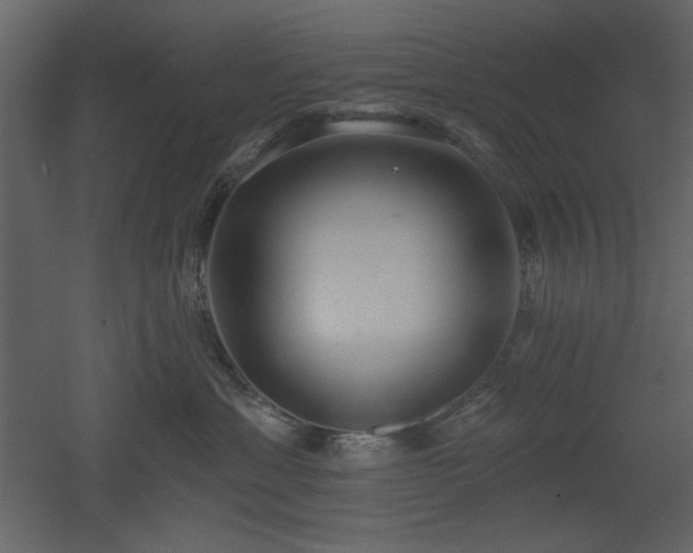 X0000053000429200507081238