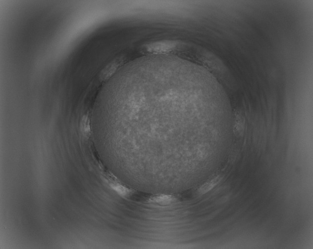 X0000053000431200507081238