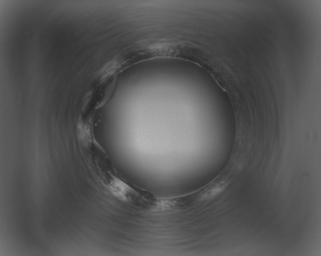X0000053000432200507081238