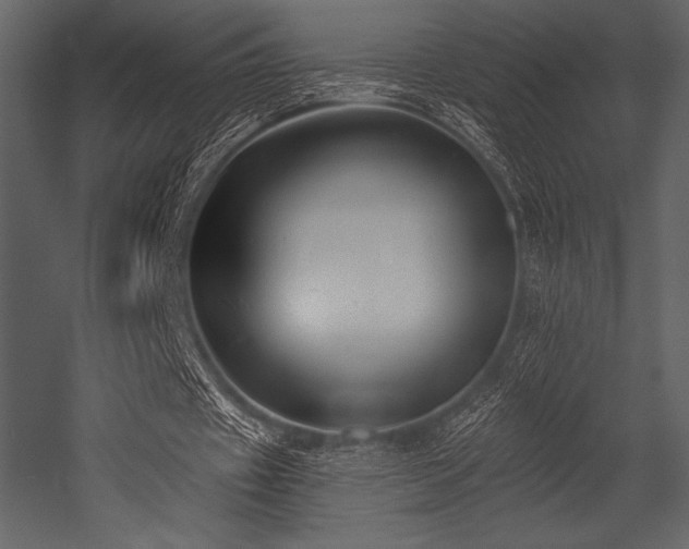 X0000053000433200507081237