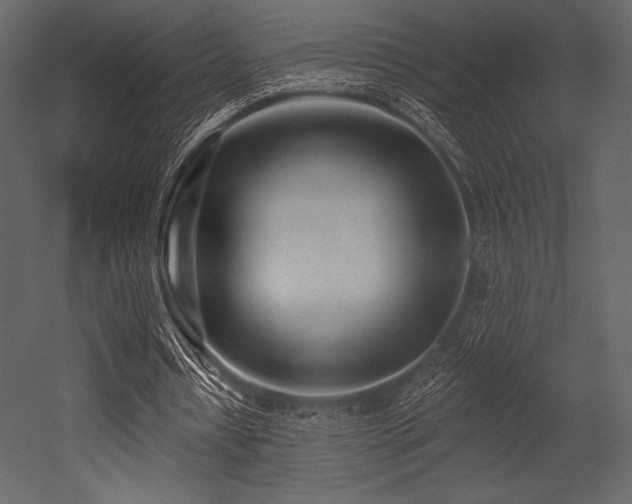 X0000053000434200507081237