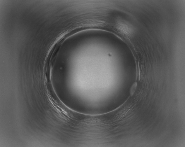 X0000053000435200507081237