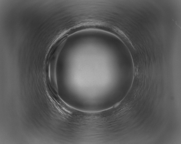 X0000053000436200507081237