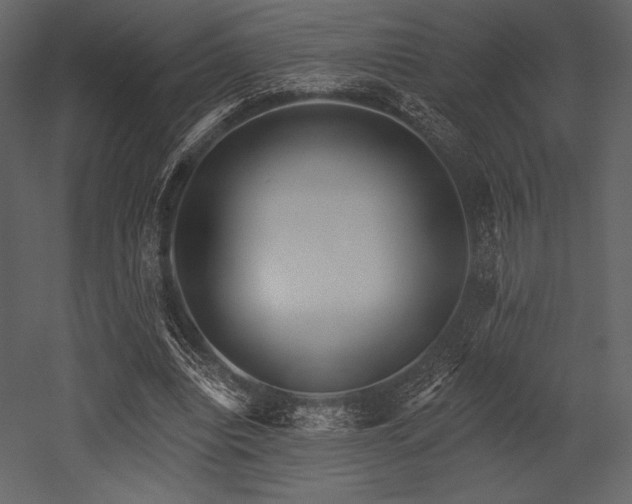 X0000053000440200507081237