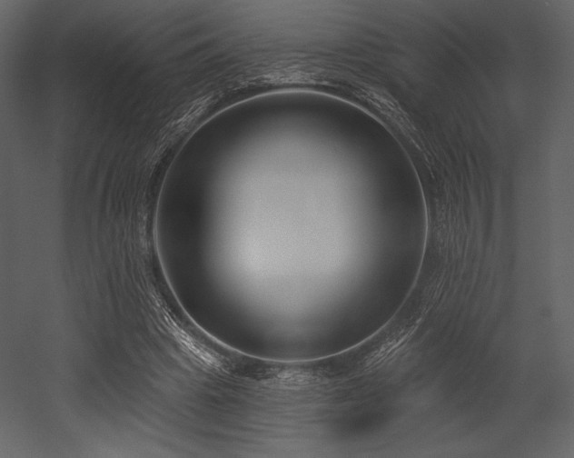 X0000053000441200507081237