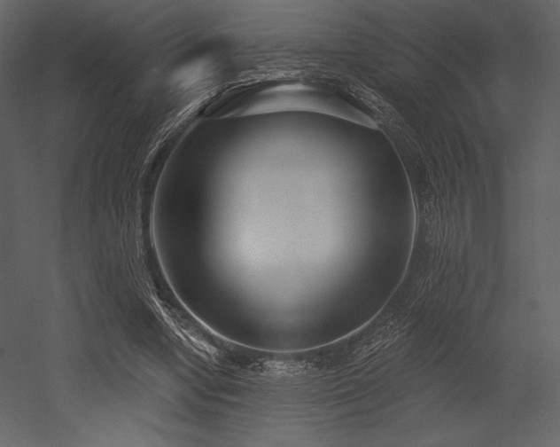 X0000053000442200507081237