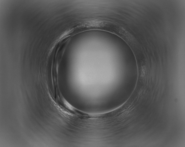 X0000053000444200507081237
