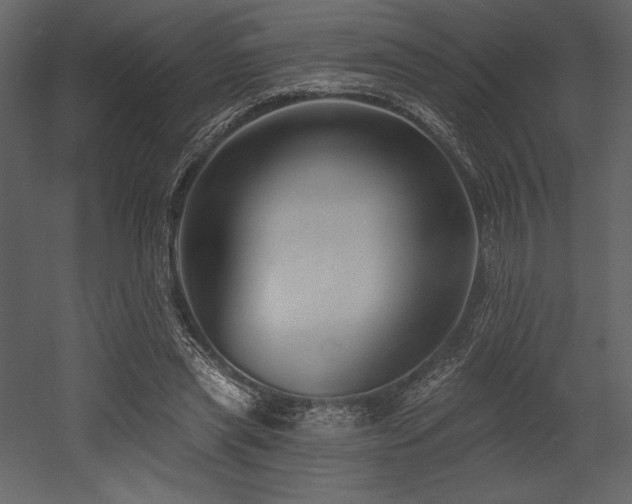 X0000053000445200507081237