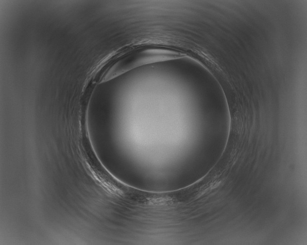 X0000053000446200507081237