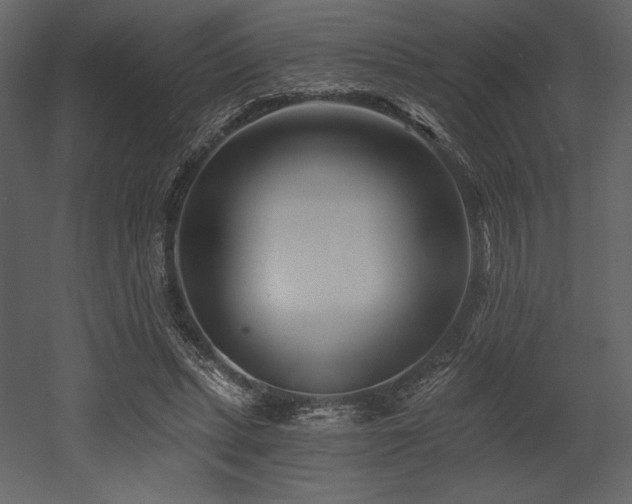 X0000053000447200507081237