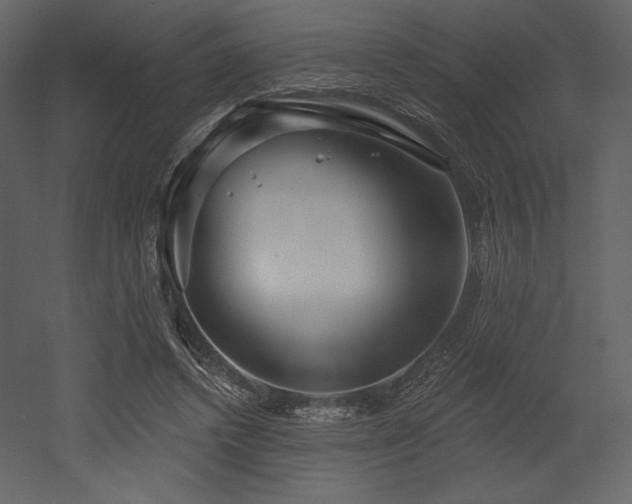 X0000053000448200507081237