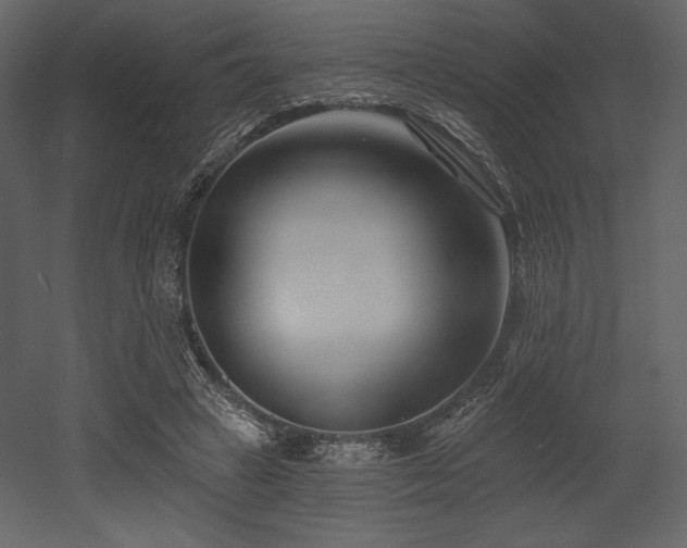 X0000053000449200507081237
