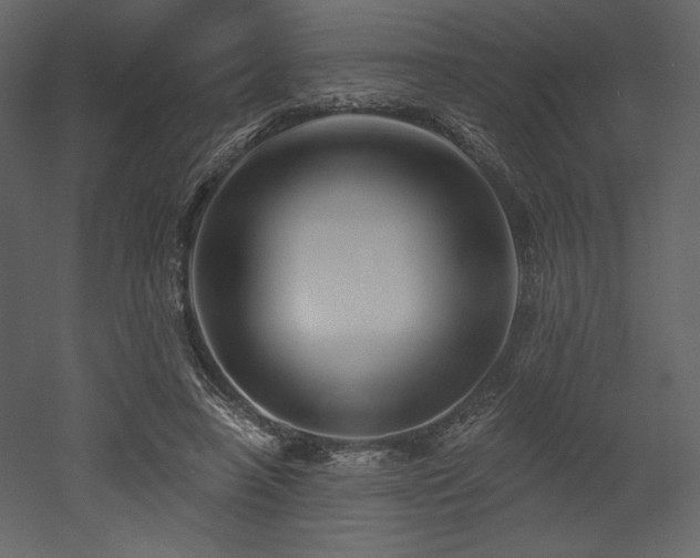 X0000053000450200507081238