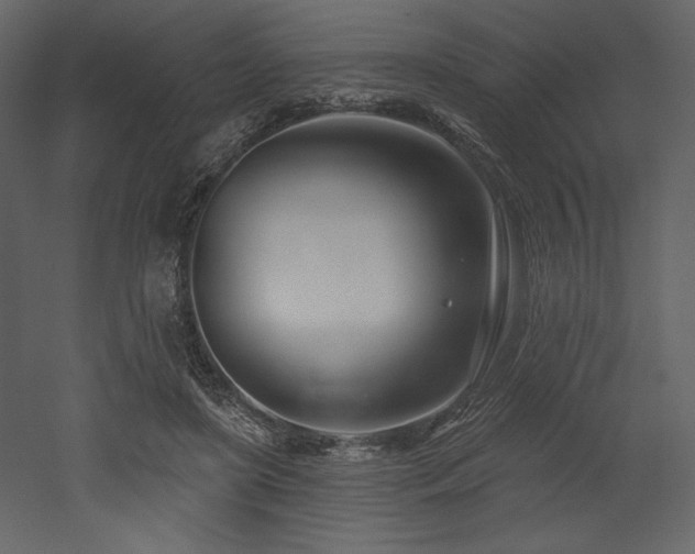X0000053000451200507081238
