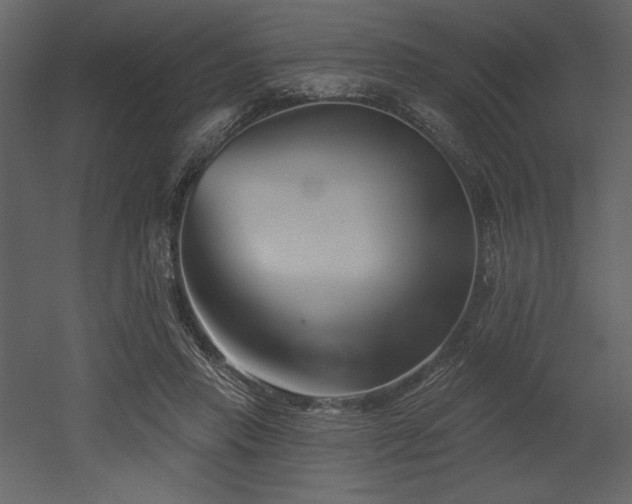 X0000053000453200507081238
