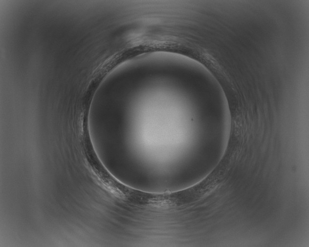X0000053000454200507081238