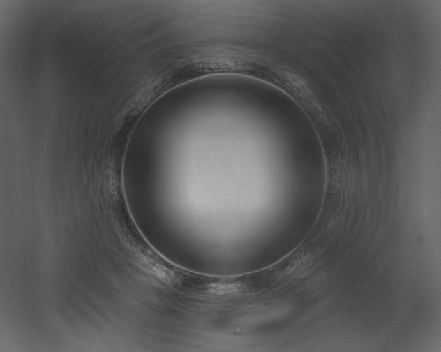 X0000053000457200507081238