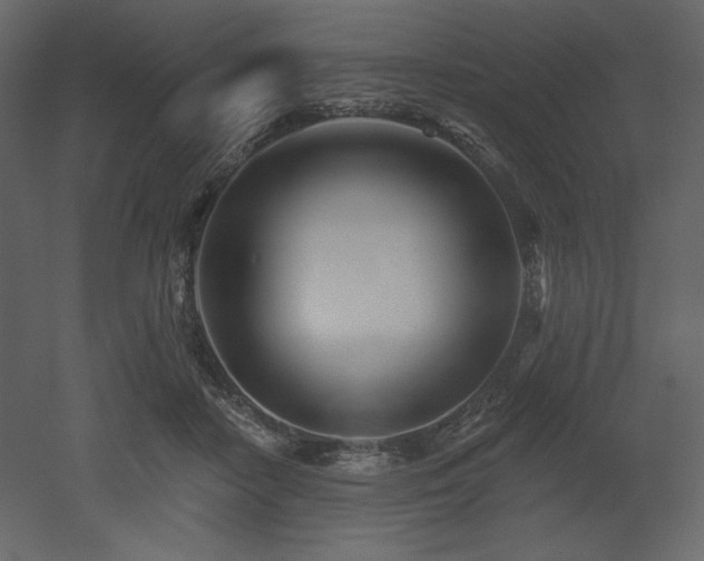 X0000053000458200507081238