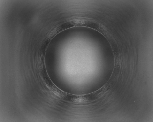 X0000053000460200507081238